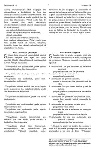 Nahuatl, Tehuacán Valley - Spanish (Mexico) Bilingual NT